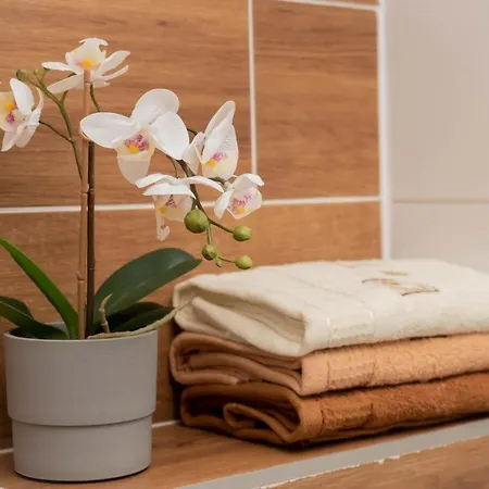 Apartment Goszowita Stronie Slaskie
