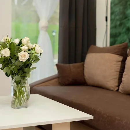 Goszowita Apartment Stronie Slaskie