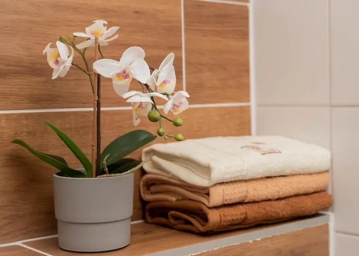 Apartament Goszowita Stronie Śląskie