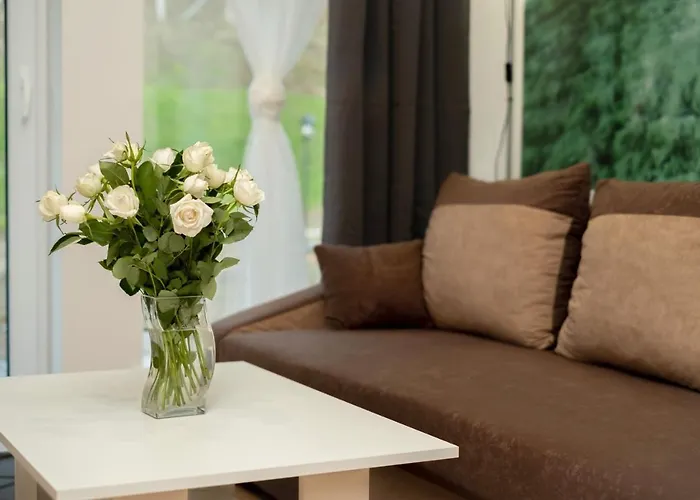 Goszowita Apartament Stronie Śląskie